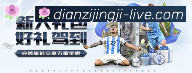 企业概况